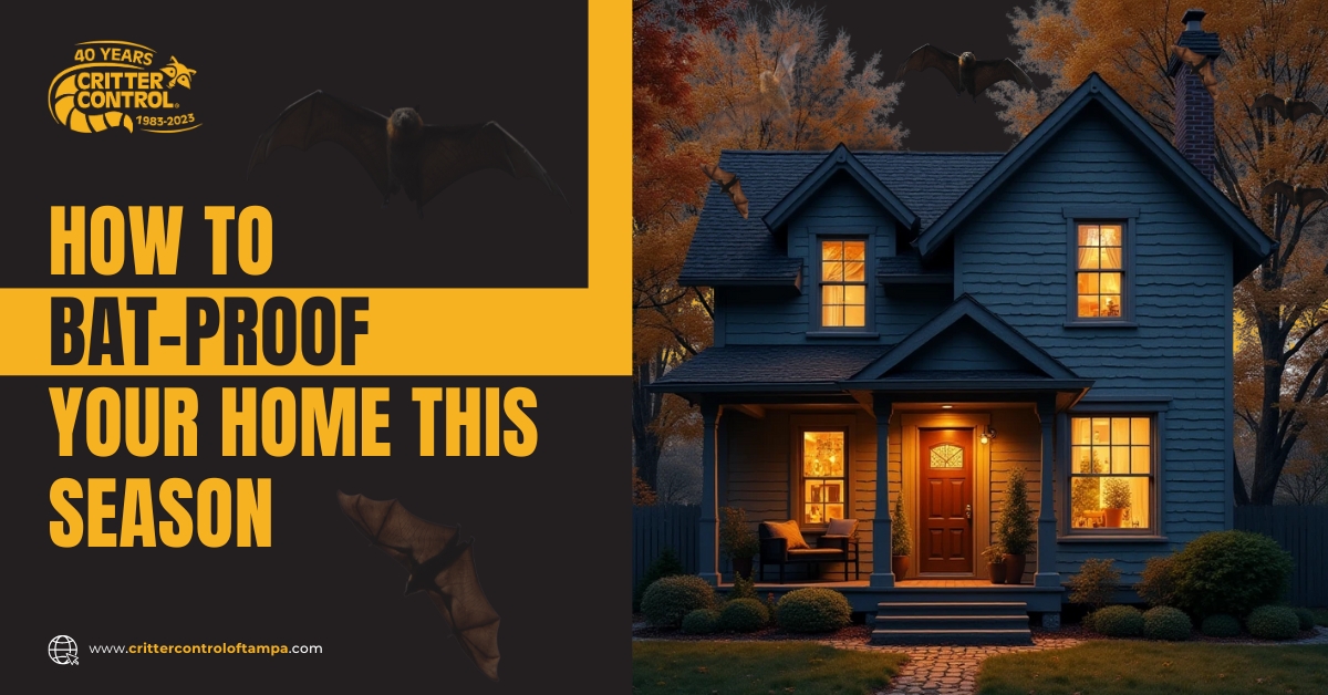 What Happens If You Ignore Animals Living in Your Attic?