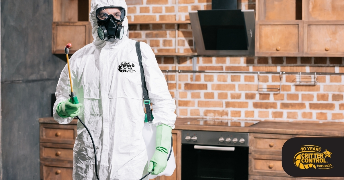 Pest Control in Orlando