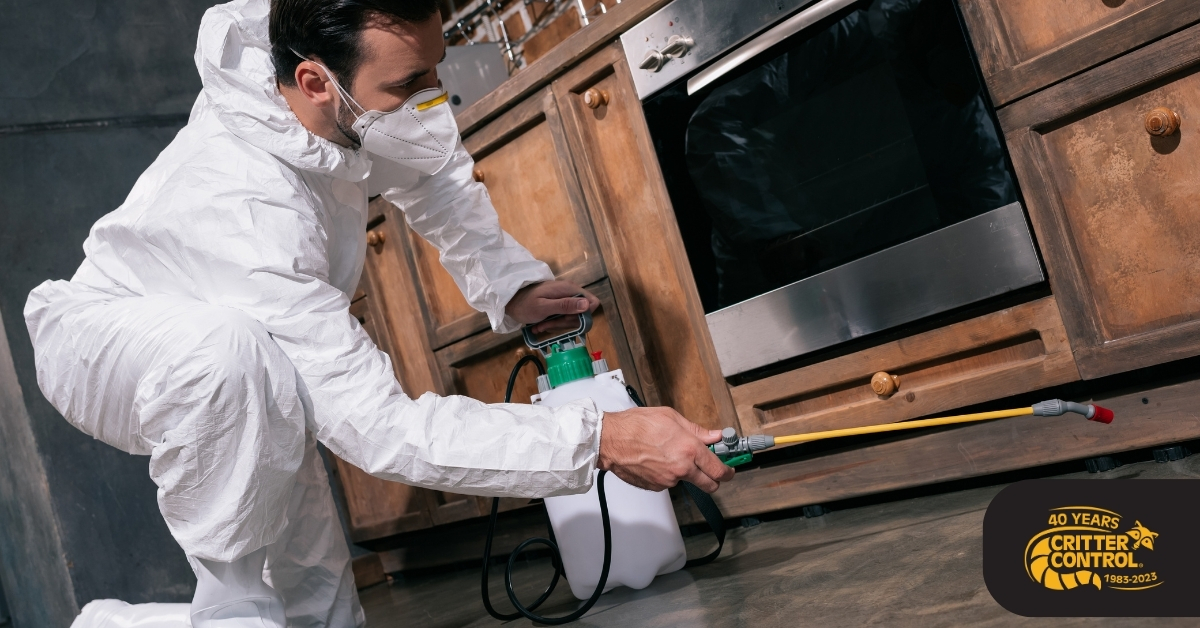 rat control services